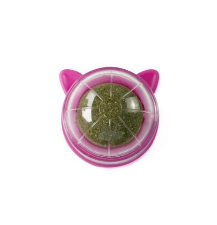 Catnip Spinning Ball Molar Teeth Licking - AnsonUSpace