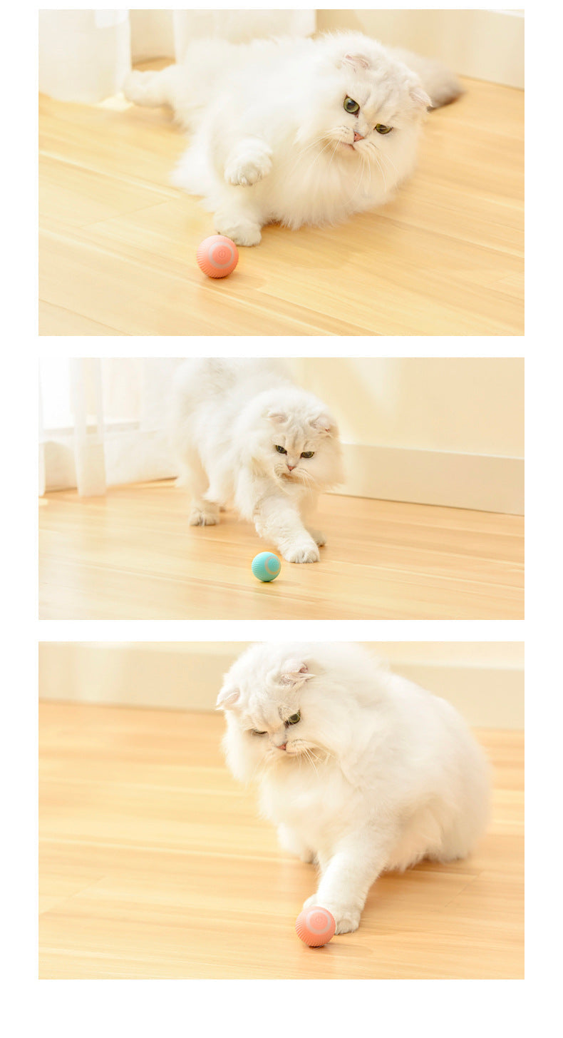 Cat Gravity Intelligent Rolling Ball Tease Toy Pet Automatic Rotating Ball - AnsonUSpace