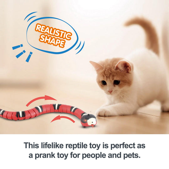 Smart Sensing Interactive Cat Toys Automatic Eletronic Snake Cat Teasering Play USB Rechargeable Kitten Toys For Cats Dogs Pet - AnsonUSpace