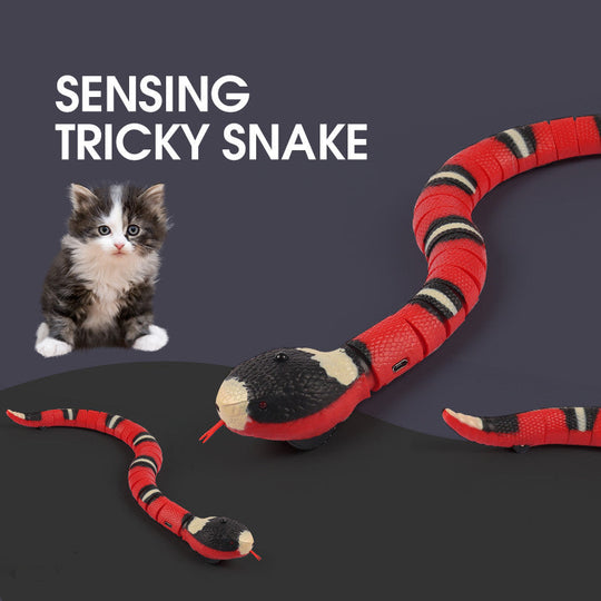 Smart Sensing Interactive Cat Toys Automatic Eletronic Snake Cat Teasering Play USB Rechargeable Kitten Toys For Cats Dogs Pet - AnsonUSpace